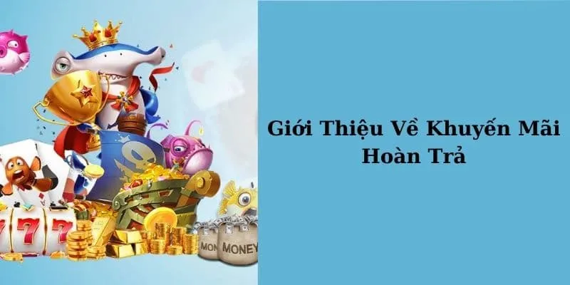 Khuyến mãi hoàn trả là gì
