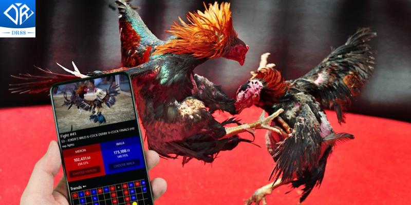 Chọi Gà Trực Tuyến Xu Hướng Phổ Biến Trong Thế Giới Giải Trí