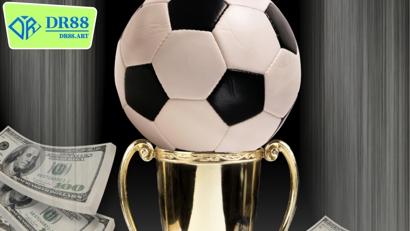 Các loại hình cược DR88 thể thao uy tín