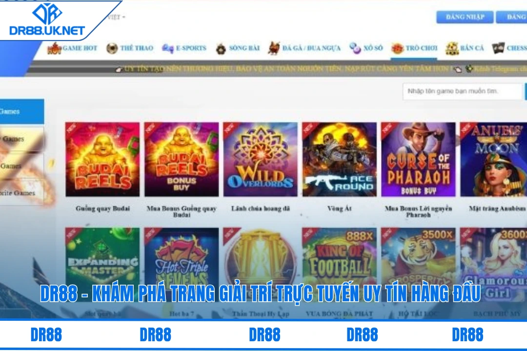 Giới thiệu về sân chơi uy tín DR88